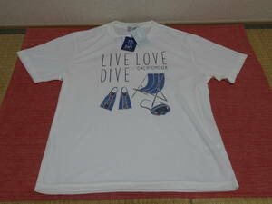 PULVIOUS　Ｔシャツ　 Lサイズ　 プリント　半袖　カリフォルニア　CALIFORNIA