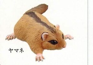 カプセルQ 日本の動物コレクション8 日本アルプス 雷鳥が棲む岳 ヤマネ1種単品