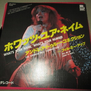 the andrea true connection / what's your name.. (ポルノ女優 RARE!!国内ホワイトレーベル盤送料込み)