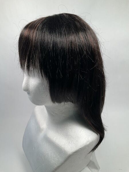 ウィッグ セミロング お姫様カット かつら 未使用 39