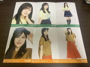 柴田柚菜 乃木坂46 真夏の全国ツアー 2022年Tシャツ 広島ver.+ アウトドア 生写真 6種コンプ 　検( 浴衣 刺繍 5種