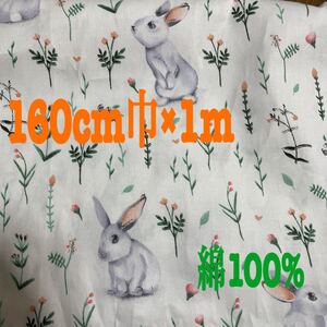 生地 布 うさぎ柄 綿100% 幅約160cm×約1m