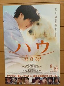 映画「ハウ　haw」★田中圭　池田エライザ　野間口徹　渡辺真起子　深川麻衣　モトーラ世理奈　他　★B5チラシ　★新品・非売品