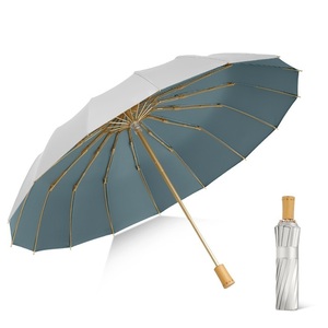 Зонтик зонтичный зонтичный зонтик дождливый зонтик