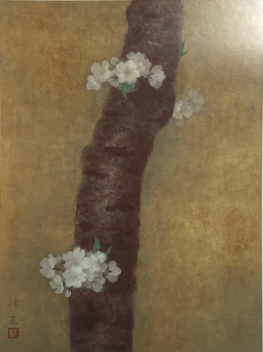 徳岡 神泉, 【桜】, 希少な大判額装画, 新品額装付, 状態良好, 送料込み, 絵画, 日本画, その他