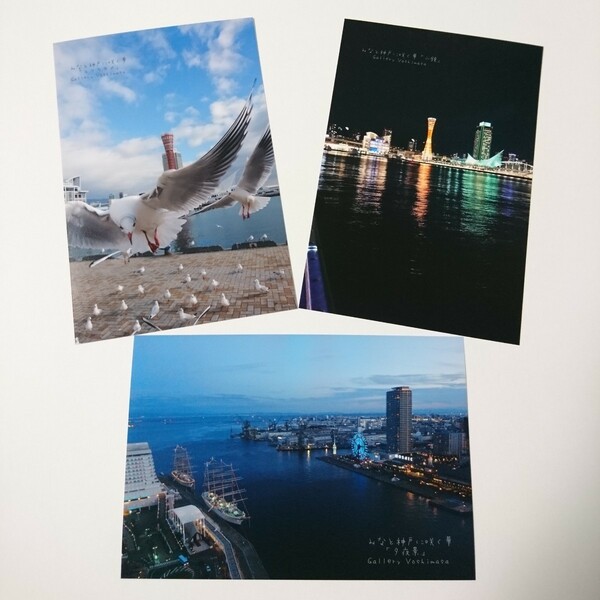 ポストカード３枚セット みなと神戸に咲く華「ユリカモメ」「夕夜景」「水鏡」