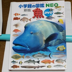 小学館の図鑑NEO魚　 DVDなし