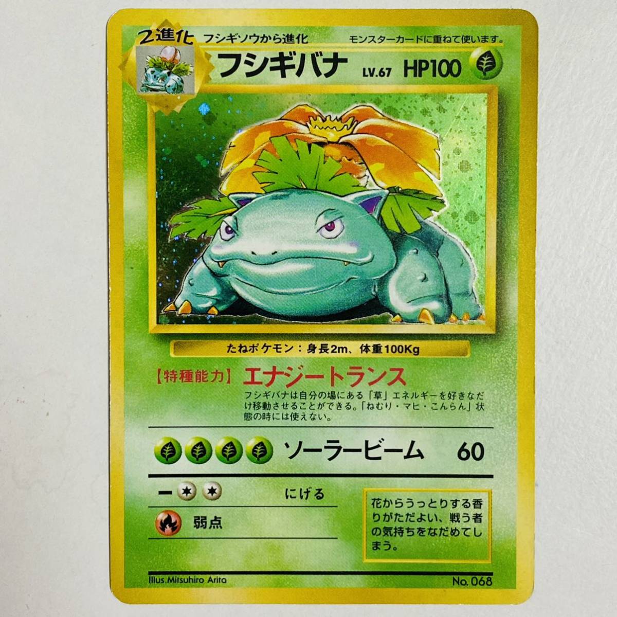 ヤフオク! -ポケモンカード 旧裏面 フシギバナの中古品・新品・未使用 ...