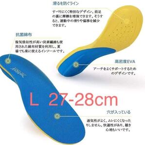 衝撃吸収 足底筋膜炎 インソール 扁平足 男女兼用 アーチサポート 人間工学 サイズL