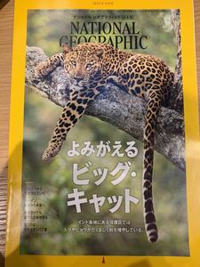 ナショナルジオグラフィック 2022年 3月 2022年3月号　　よみがえるビッグキャット　ウミウシ　スーダン　national geographic