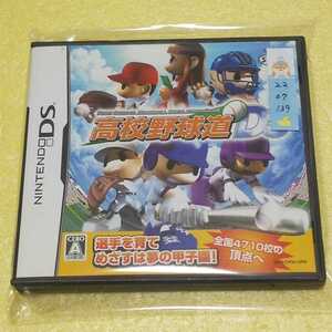 Nintendo DS 高校野球道DS【管理】2207139