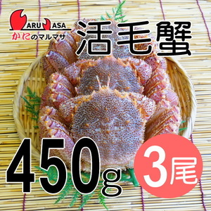 【かにのマルマサ】活蟹専門店 北海道産 活毛ガニ450g 3尾セット