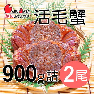 【かにのマルマサ】活蟹専門店 北海道産 活毛ガニ900g詰2尾セット