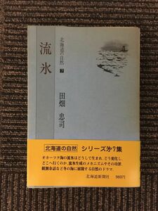 　北海道の自然〈7〉流氷/ 田畑 忠司