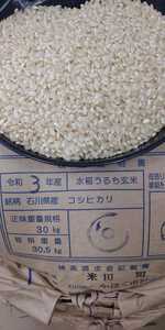 コシヒカリ 玄米３０kg 検査証明１等