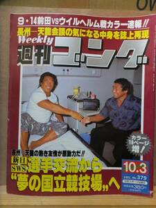 週刊ゴング　　No.３７９　　　１９９１年１０月３日号　　　　　日本スポーツ出版社