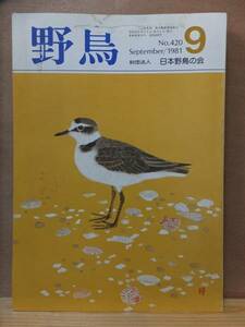 野鳥　　　１９８１年９月号　　No.４２０　　　　　日本野鳥の会