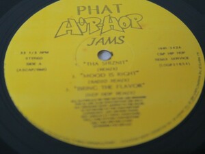 12'★V.A./PHAT HIP-HOP JAMS(Snoop Doggy Dog/Queen Latifah/Zhane)