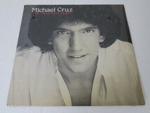 LP★MICHAEL CRUZ/The Heart Never Forgets(AOR/MELLOW/自主盤)_画像1