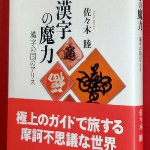 「漢字の魔力-漢字の国のアリス」第1刷　講談社選書メチエ523：新品並み