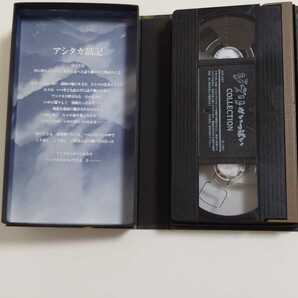 もののけ姫 VHSビデオ 宮崎駿 スタジオジブリシリーズ ジブリがいっぱいコレクションの画像3