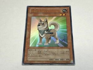 遊戯王 YAP1 柴戦士タロ 日本語 ウルトラ