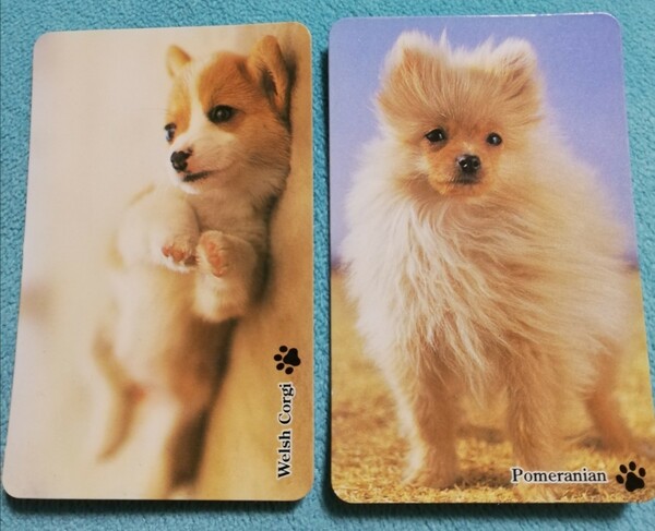 子犬物語 カード