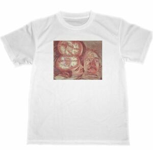 ジャック・ファビアン・ゴーティエ・ダゴティ　4　ドライ　Tシャツ　　名画　絵画　グッズ　人体図　解剖図