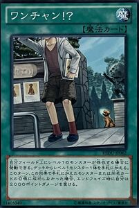 遊戯王 ノーマル 魔法 1枚 ワンチャン!? REDU