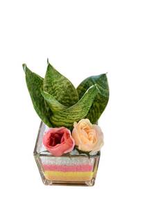 【送料無料】サンスベリア　ゼラニカ（造花付き）カラーサンド　ミニ観葉植物　ギフト　プレゼント　贈り物　インテリア　