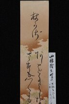 【黒川清一旧蔵】「四条隆生 和歌短冊」幕末 公家 四条隆謌父 書_画像4