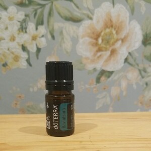 ラヴィンサラ(5ml) 精油