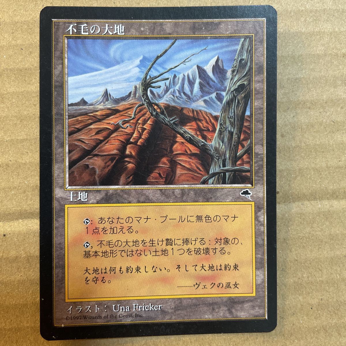 何でも揃う 不毛の大地 MTG 金枠 マジックザギャザリング Wasteland