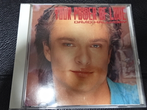 DAVID HALLYDAY（デヴィッド・ハリディ）「YOUR POWER OF LOVE」1989年日本盤D22Y-0313