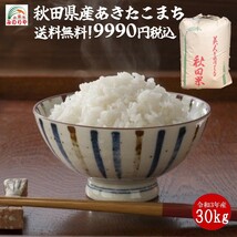 令和３年産 秋田県産あきたこまち ３０ｋｇ 玄米 うまい米 米専門 みのりや ポイント消化 送料無料_画像1