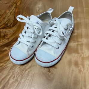 コンバース　オールスター CONVERSE 19cm