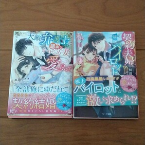 「天敵弁護士は臆病なかりそめ妻を愛し尽くす」「契約夫婦を解消したはずなのに、凄腕パイロットは私を捕らえて離さない」【2冊セット】