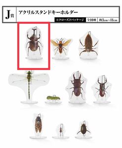 一番くじ昆虫 世界の昆虫博物館/J賞 アクリルスタンドキーホルダー：カブトムシ、1個のみ出品 新品 検索/ネプチューンオオカブト、ギラファ