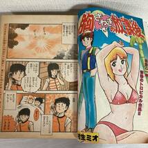 週刊 少年マガジン 1981年 No.36 8月19日号★水着 和泉友子 篠山紀信/柴山みのる 読切/THEかぼちゃワイン/胸さわぎの放課後★送料210円_画像6