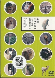 K002◆「動物チラリズム/カメラ目線動物写真DVD」未開封新品