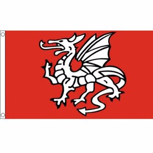 海外限定 国旗 イングランド ユーサー ペンドラゴン ウーサー、ウーゼル 竜 龍 ドラゴン 特大フラッグ
