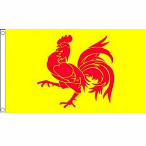 海外限定 国旗 ワロン地域 旗 ベルギー 特大フラッグ
