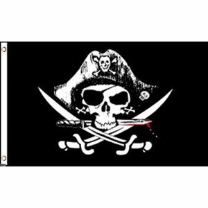 海外限定 国旗 海賊旗 パイレーツ スカル 骸骨 ドクロ クロスサーベル 血 特大フラッグ