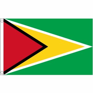 海外限定 国旗 ガイアナ共和国 特大フラッグ