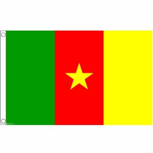 海外限定 国旗 カメルーン共和国 特大フラッグ