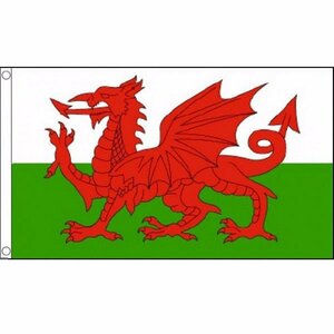 海外限定 国旗 ウェールズ 赤い竜 特大フラッグ