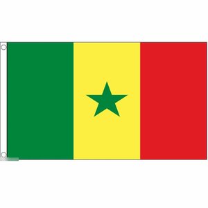 海外限定 国旗 セネガル共和国 西アフリカ 特大フラッグ