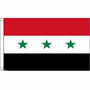 海外限定 国旗 イラク 旧国旗 特大フラッグ