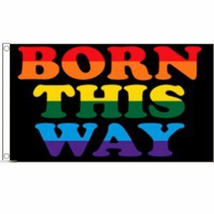 海外限定 国旗 ボーン ディス ウェイ Born This Way 虹色 レインボー 特大フラッグ