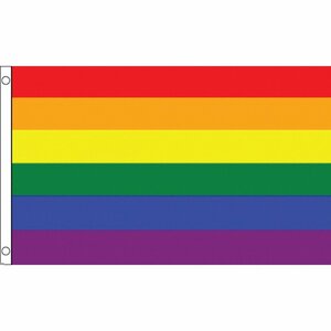 海外限定 国旗 虹 レインボーフラッグ LGBT ゲイ 特大フラッグ